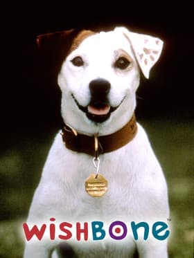 Dances with Dogs