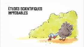 Études scientifiques improbables