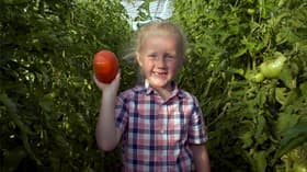 Vegetables