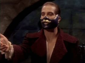 The Vampire Hunter