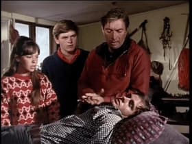 The Hostages