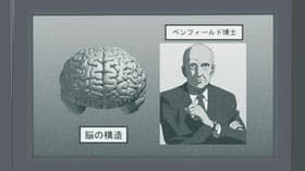No-no naka no homonculus