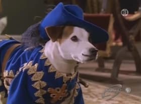 Muttketeer!