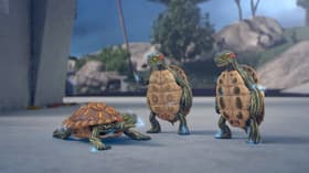 Electric Turtles