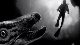 Cave Demons