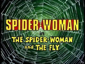 The Spider-Woman and the Fly