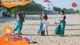 Episode #1.28