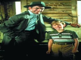 Prairie Lawyer