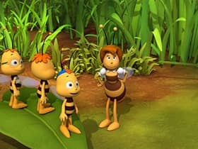 Maya's Garden