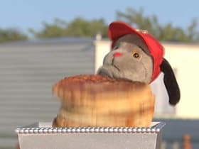 Pizza to Go