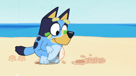 The Beach