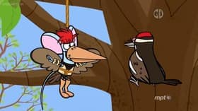 Woodpecker Picks a Place/Here Comes the Sun
