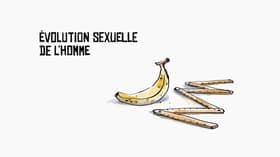 Évolution sexuelle de l'homme