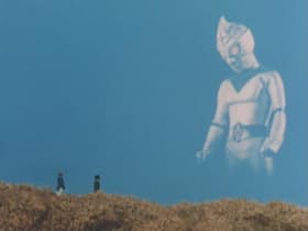 Goodbye Mirrorman