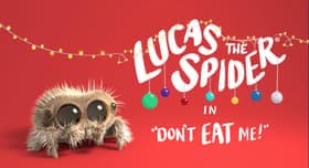 Don't Eat Me