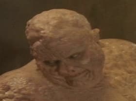 The Feverman
