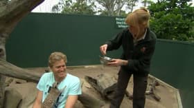 Episode #1.13