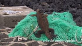Galapagos: Paradijs voor zakenlui, smokkelaars en christenen
