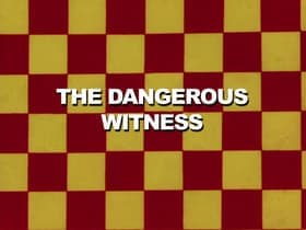 The Dangerous Witness