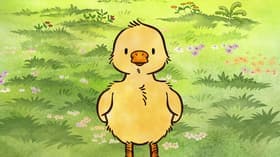 Follow Me