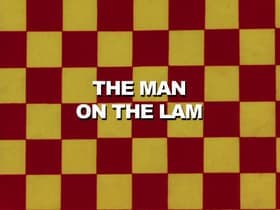 The Man on the Lam