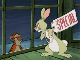 How Much Is That Rabbit in the Window
