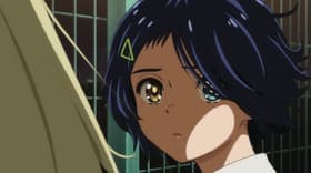 Jûyon-sai no Hôkago