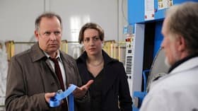 Borowski und die Sterne