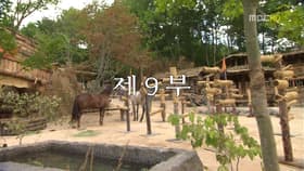Episode #1.9