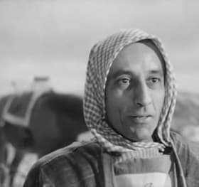 The Saracen Physician