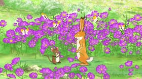 Field of Flowers