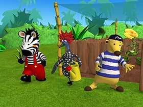 Zigby and the Tortoise