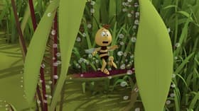 Mrs Hermitt Beetle's Journey