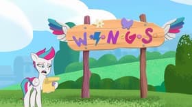 Zipp's Flight School