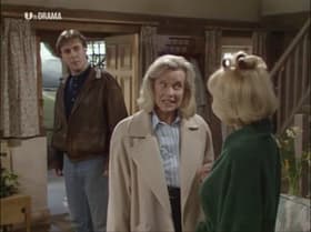 Just the Job