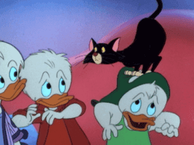 Cat and Louse