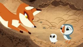 Bird Detective