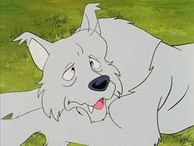 An Old Wolf Visits