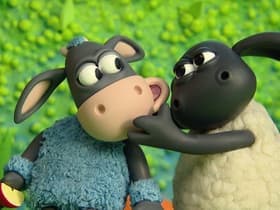 Timmy's Hiccup Cure