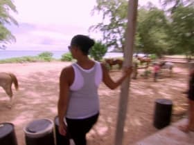 Episode #1.11