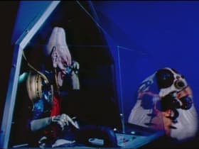 The Accident