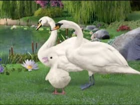 Save the Swan!/Save the Puppy!