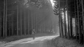 The Ghost Front: December 1944 - March 1945