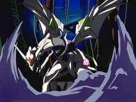 Gravity of Fate