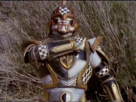 The Chameliac Warrior
