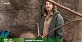 Das Runde muß ins Eckige
