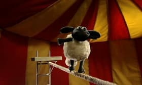 Big Top Timmy