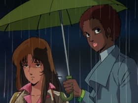 Rainy Night