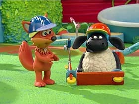 Timmy on Wheels