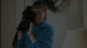 Pets, Guys and Videotape
